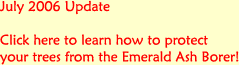 July 2006 Update - Click here to learn how to protect your trees from the Emerald Ash Borer.